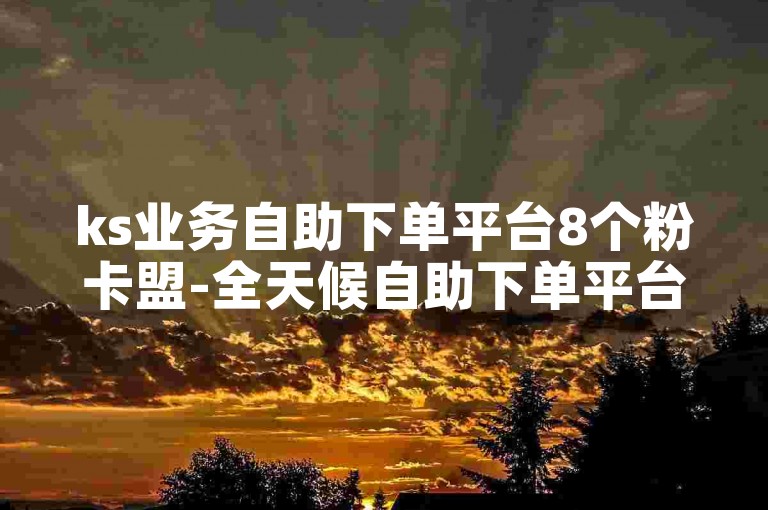 ks业务自助下单平台8个粉卡盟-全天候自助下单平台