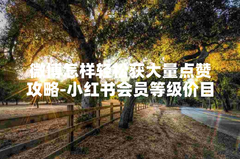 微博怎样轻松获大量点赞攻略-小红书会员等级价目表详解