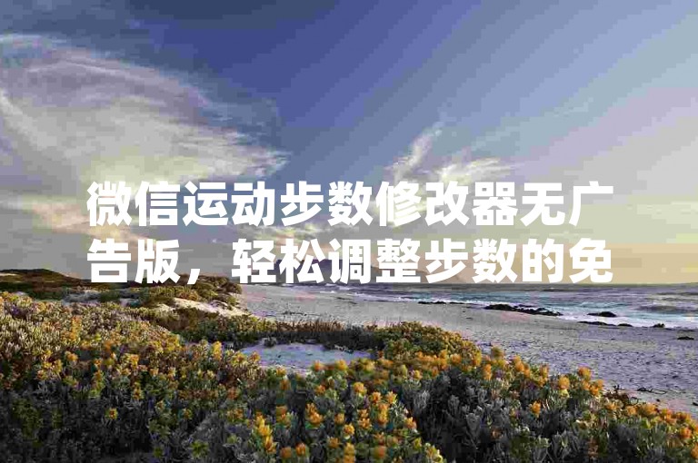 微信运动步数修改器无广告版，轻松调整步数的免费工具推荐-结论释义解释落实 _ GM版169.324.73