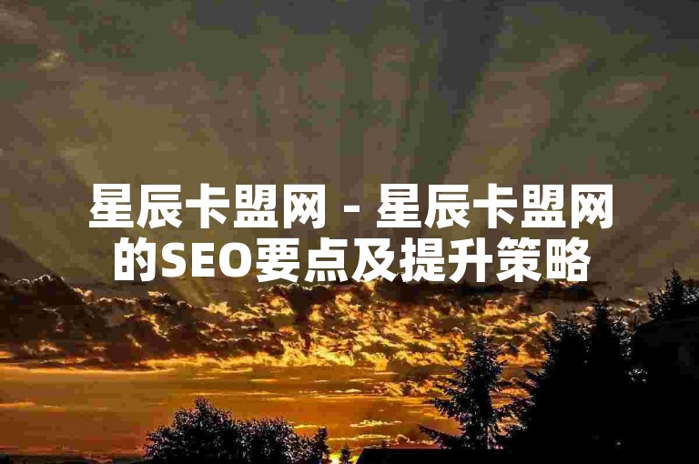 星辰卡盟网 - 星辰卡盟网的SEO要点及提升策略