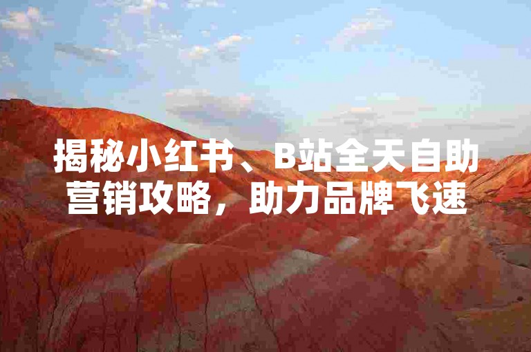 揭秘小红书、B站全天自助营销攻略，助力品牌飞速成长！