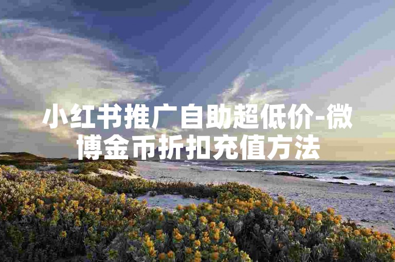 小红书推广自助超低价-微博金币折扣充值方法