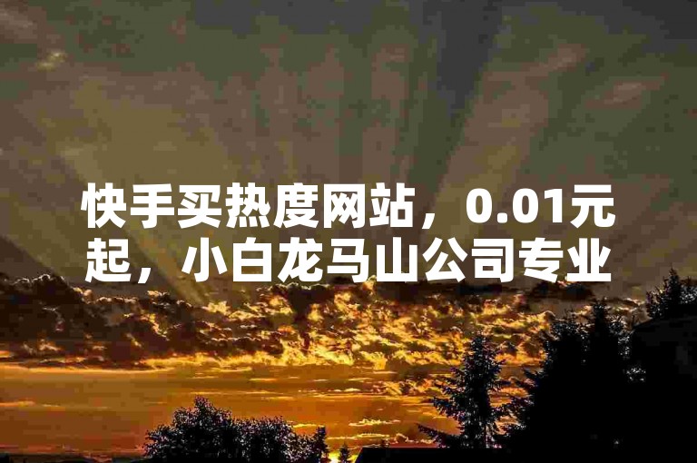快手买热度网站，0.01元起，小白龙马山公司专业服务