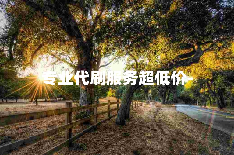 专业代刷服务超低价-