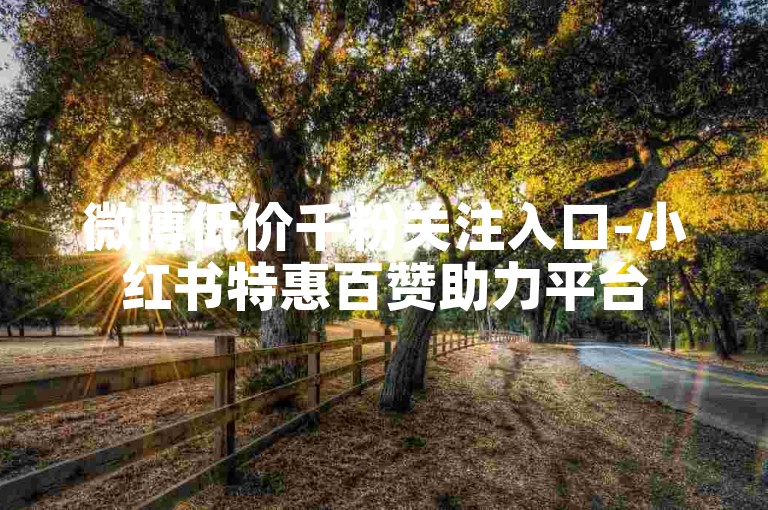 微博低价千粉关注入口-小红书特惠百赞助力平台