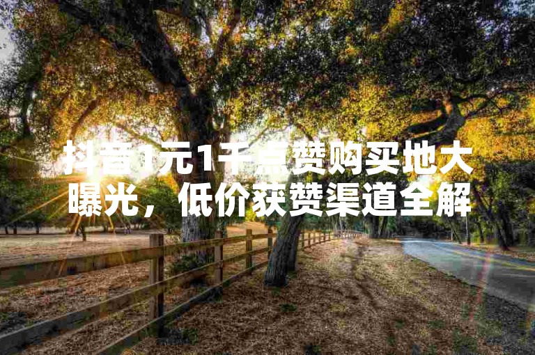 抖音1元1千点赞购买地大曝光，低价获赞渠道全解析，2024速看！
