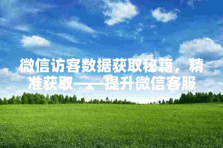 微信访客数据获取秘籍，精准获取——提升微信客服访客数据的实用策略！2025必备