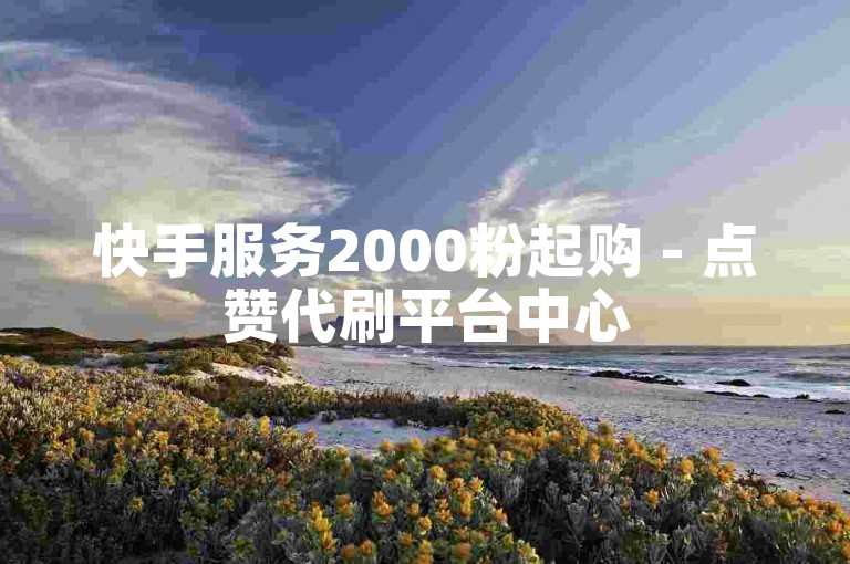 快手服务2000粉起购 - 点赞代刷平台中心