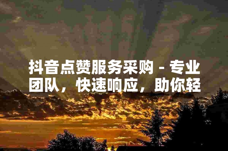 抖音点赞服务采购 - 专业团队，快速响应，助你轻松上热门！