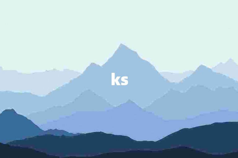 ks5元八百赞-明星小店2元两千 - ks12小时自助下单平台 - 小红书代刷业务