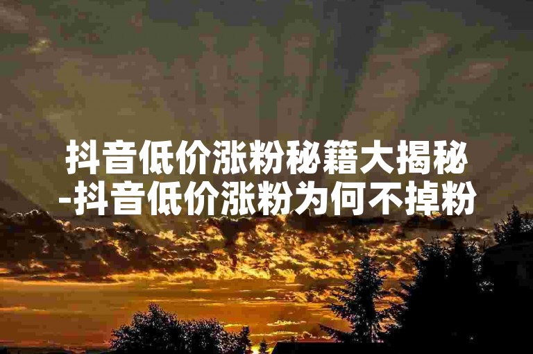 抖音低价涨粉秘籍大揭秘-抖音低价涨粉为何不掉粉？微利背后的真相！