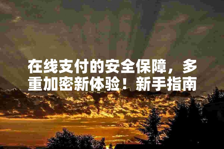 在线支付的安全保障，多重加密新体验！新手指南！