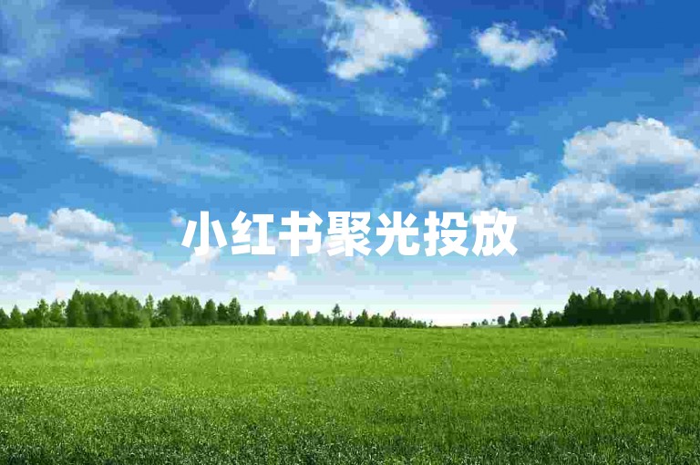 小红书聚光投放500起 - 增加微博粉丝量的技巧
