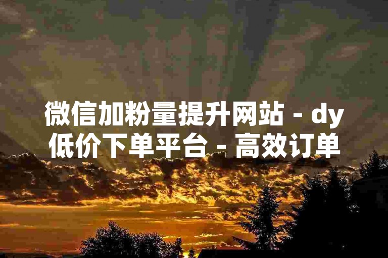 微信加粉量提升网站 - dy低价下单平台 - 高效订单平台 24小时速单业务
