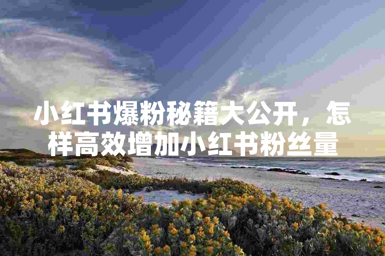 小红书爆粉秘籍大公开，怎样高效增加小红书粉丝量？2024必备技巧-