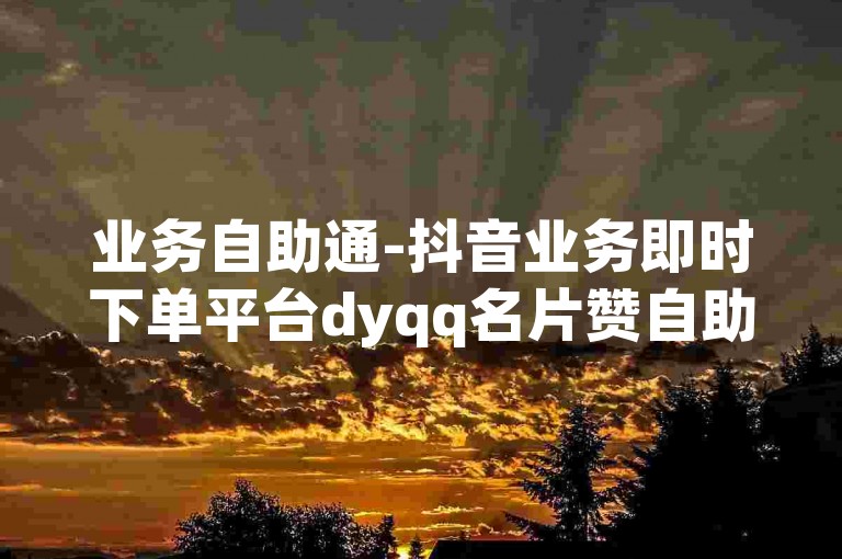 业务自助通-抖音业务即时下单平台dyqq名片赞自助特惠下单