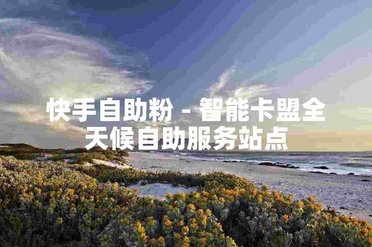 快手自助粉 - 智能卡盟全天候自助服务站点