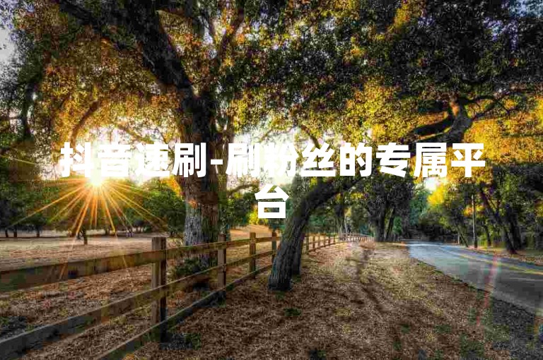 抖音速刷-刷粉丝的专属平台
