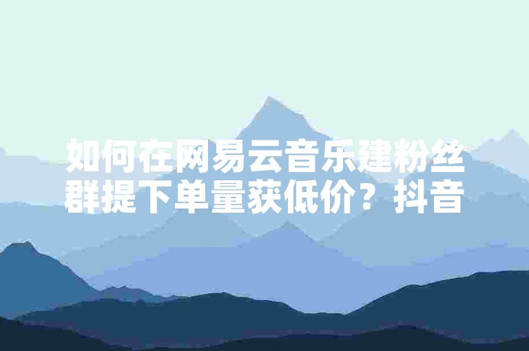 如何在网易云音乐建粉丝群提下单量获低价？抖音业务下单24小时评论-直播电影步骤揭秘