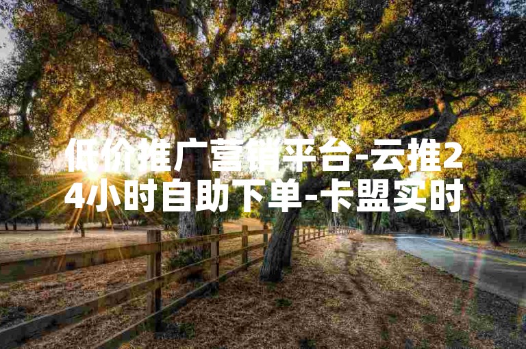 低价推广营销平台-云推24小时自助下单-卡盟实时自动发卡-抖音入口2024全新版