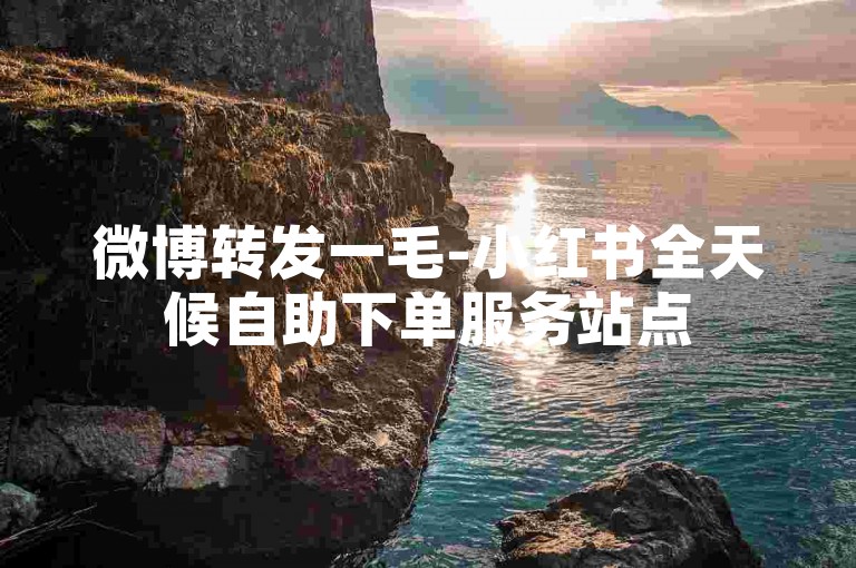 微博转发一毛-小红书全天候自助下单服务站点