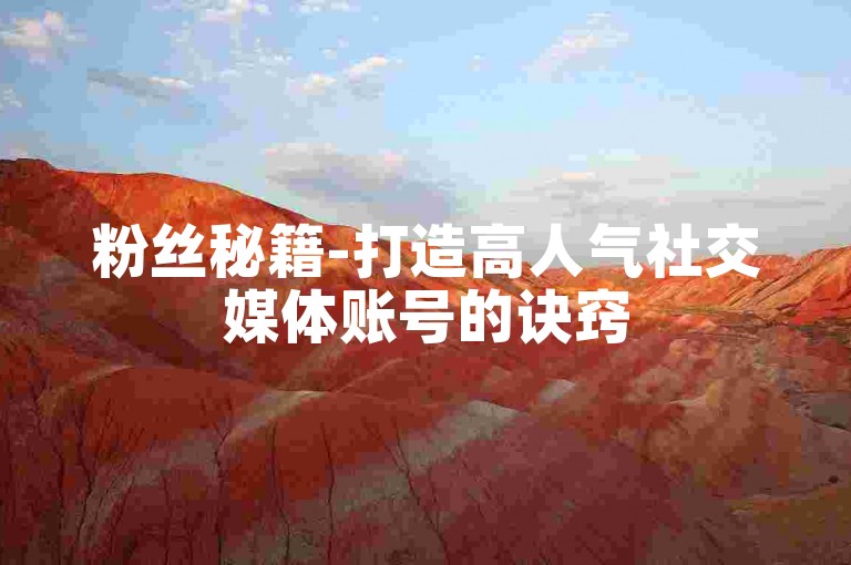 粉丝秘籍-打造高人气社交媒体账号的诀窍