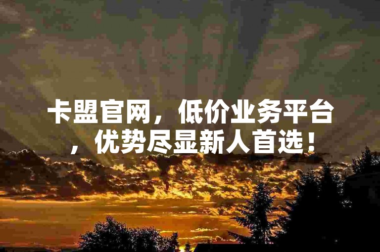 卡盟官网，低价业务平台，优势尽显新人首选！