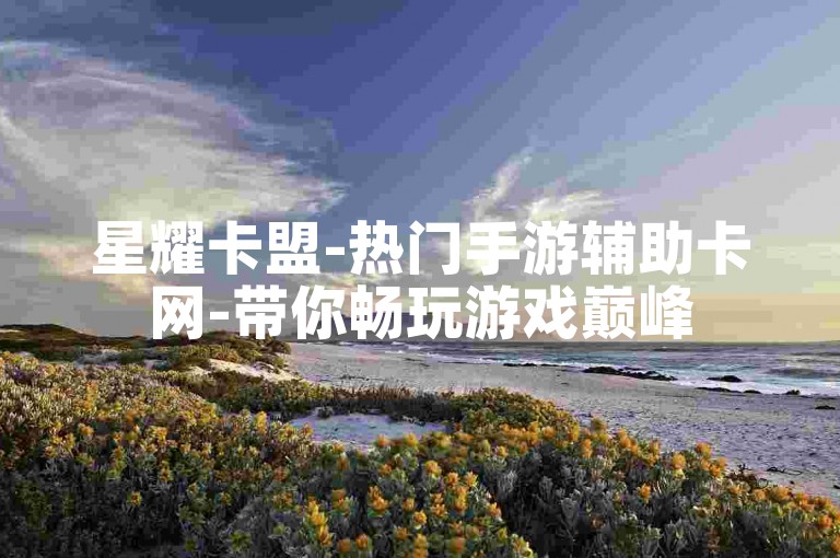 星耀卡盟-热门手游辅助卡网-带你畅玩游戏巅峰