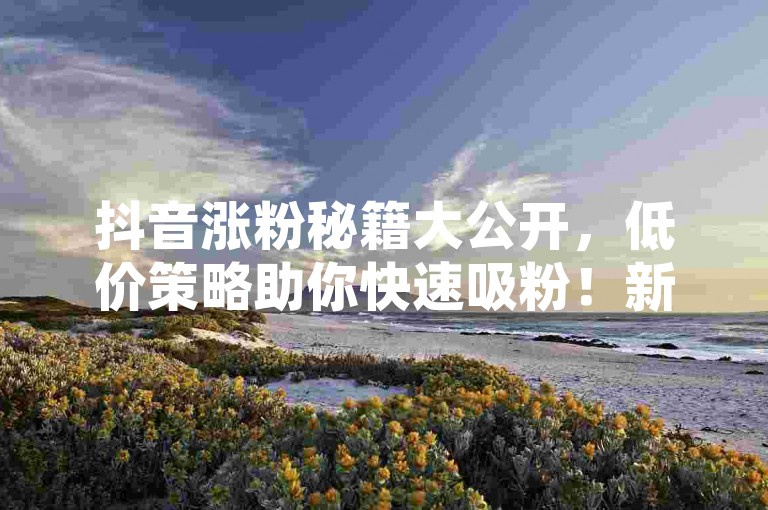 抖音涨粉秘籍大公开，低价策略助你快速吸粉！新人速成，网红业务随时享！