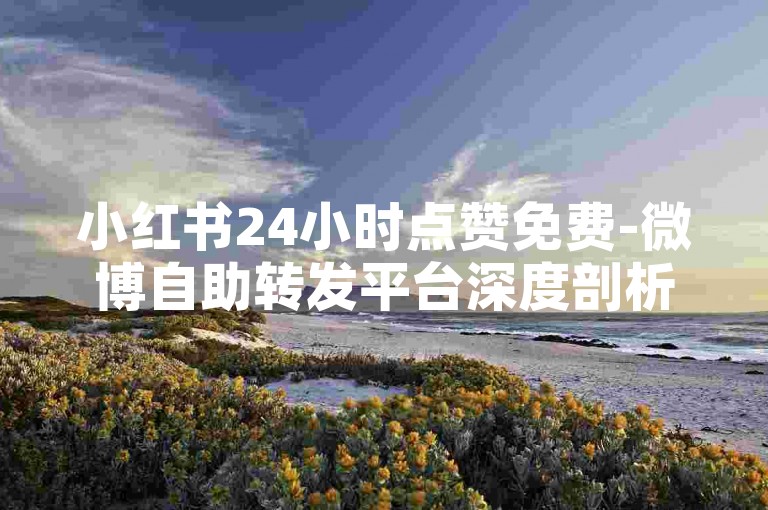 小红书24小时点赞免费-微博自助转发平台深度剖析及操作攻略