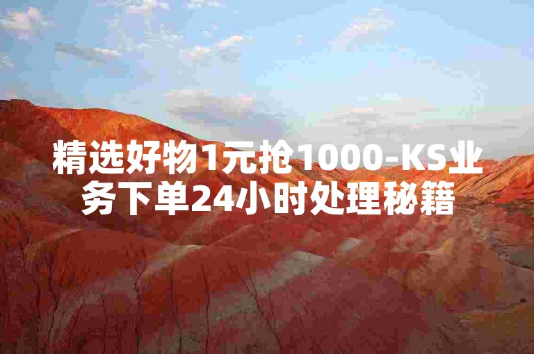 精选好物1元抢1000-KS业务下单24小时处理秘籍