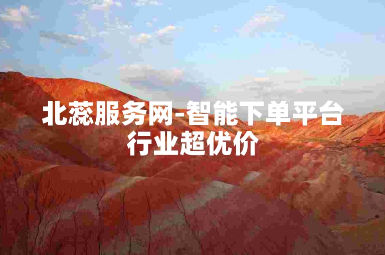 北蕊服务网-智能下单平台行业超优价