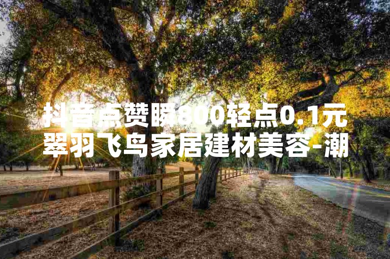 抖音点赞瞬800轻点0.1元翠羽飞鸟家居建材美容-潮人商街全天候自主选购攻略