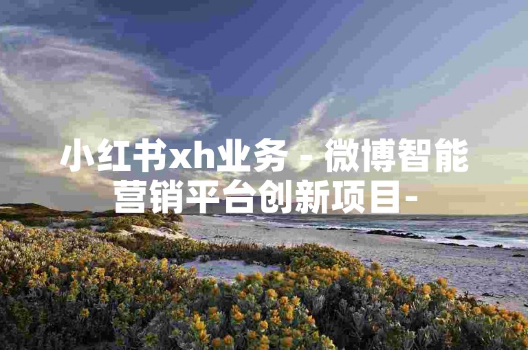 小红书xh业务 - 微博智能营销平台创新项目-