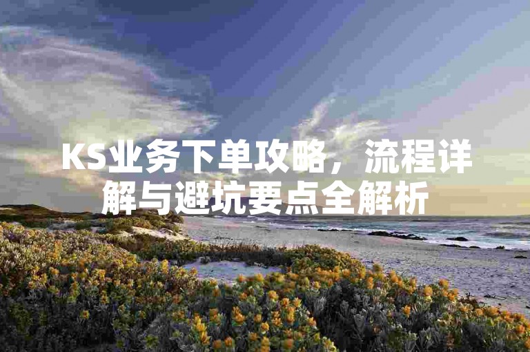 KS业务下单攻略，流程详解与避坑要点全解析