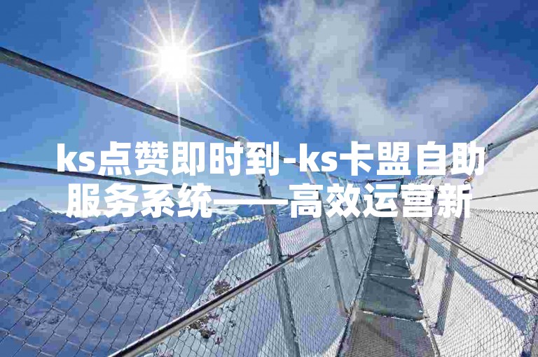 ks点赞即时到-ks卡盟自助服务系统——高效运营新选择