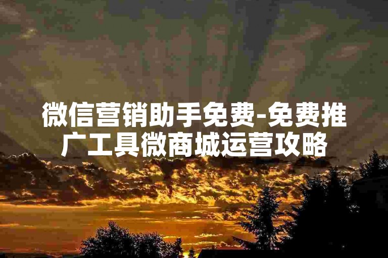 微信营销助手免费-免费推广工具微商城运营攻略