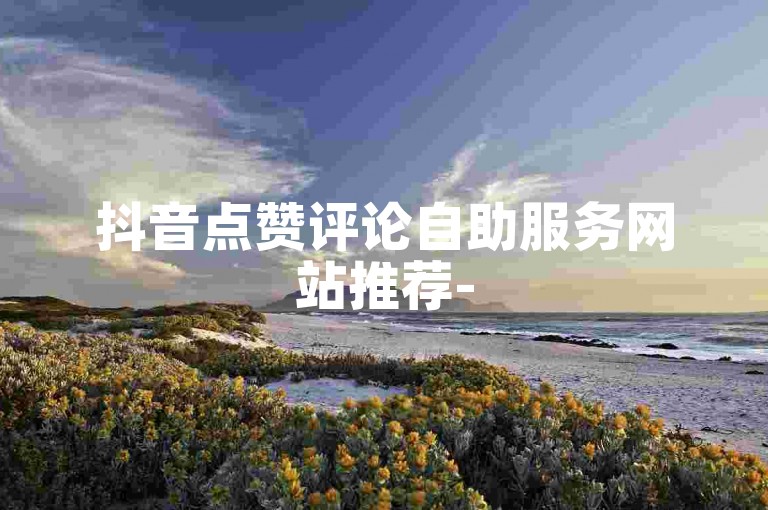 抖音点赞评论自助服务网站推荐-