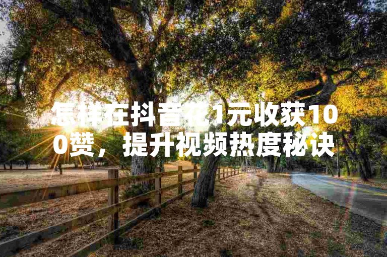 怎样在抖音花1元收获100赞，提升视频热度秘诀
