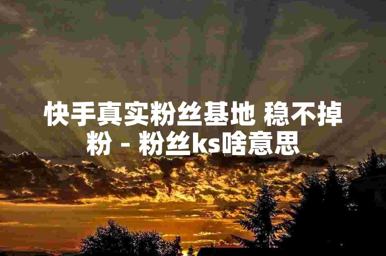快手真实粉丝基地 稳不掉粉 - 粉丝ks啥意思