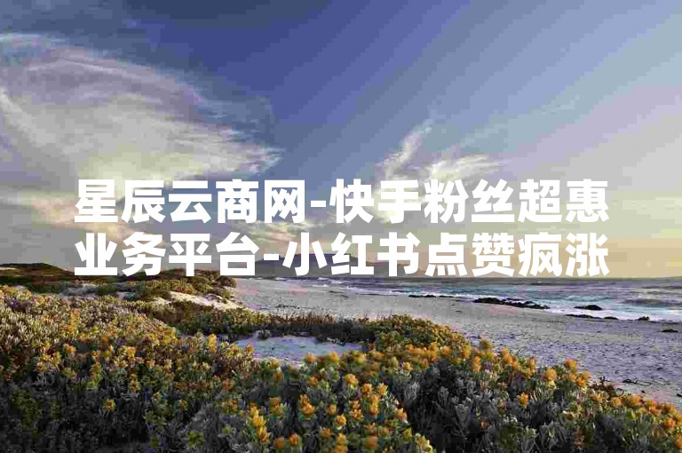 星辰云商网-快手粉丝超惠业务平台-小红书点赞疯涨器-下单业务官网