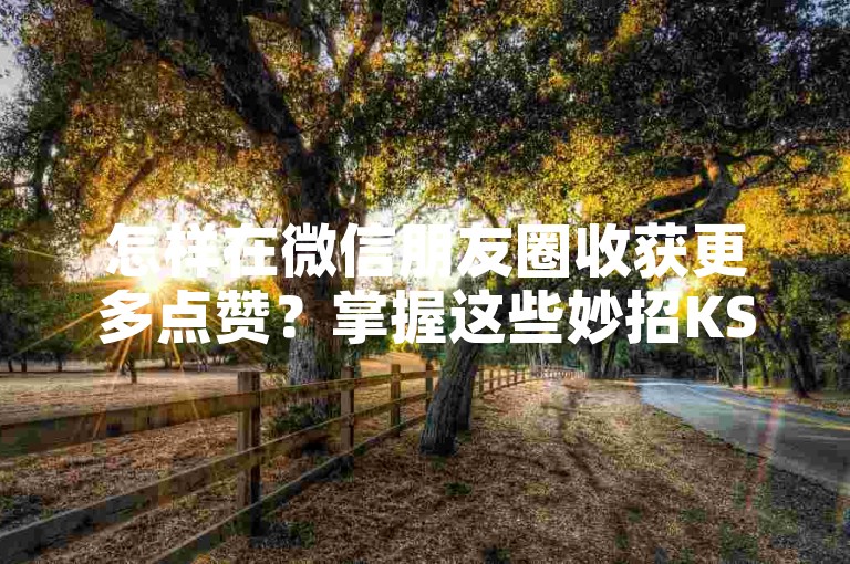怎样在微信朋友圈收获更多点赞？掌握这些妙招KS低价服务双击-扣扣动态赞一毛10000深度解析