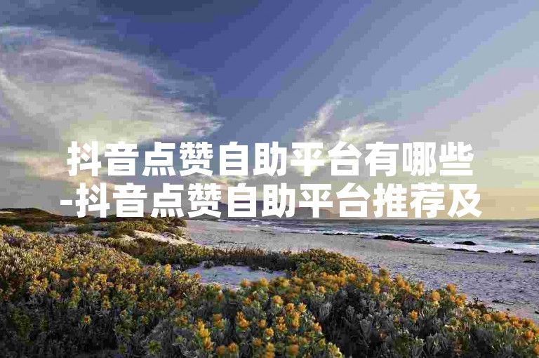 抖音点赞自助平台有哪些-抖音点赞自助平台推荐及使用技巧