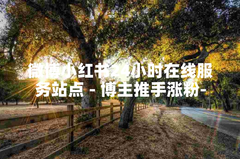 微博小红书24小时在线服务站点 - 博主推手涨粉-