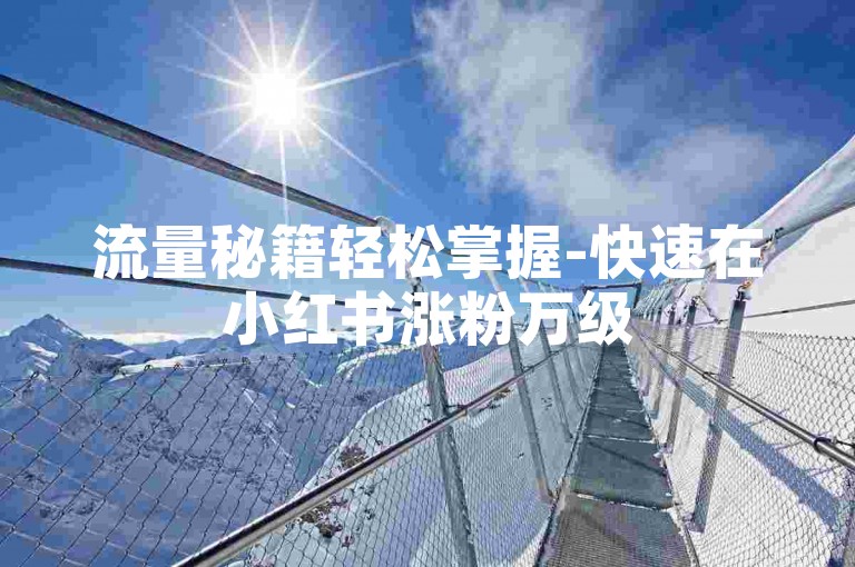 流量秘籍轻松掌握-快速在小红书涨粉万级