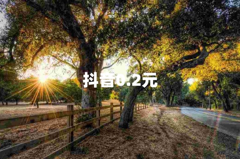抖音0.2元5000点赞即来-全天自助下单超实惠-dy自动下单平台-快手助力
