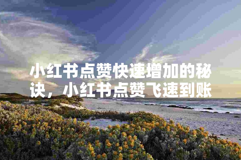 小红书点赞快速增加的秘诀，小红书点赞飞速到账，助你轻松涨粉！2024必备-