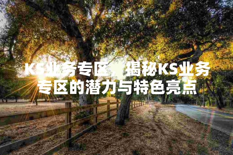 KS业务专区，揭秘KS业务专区的潜力与特色亮点