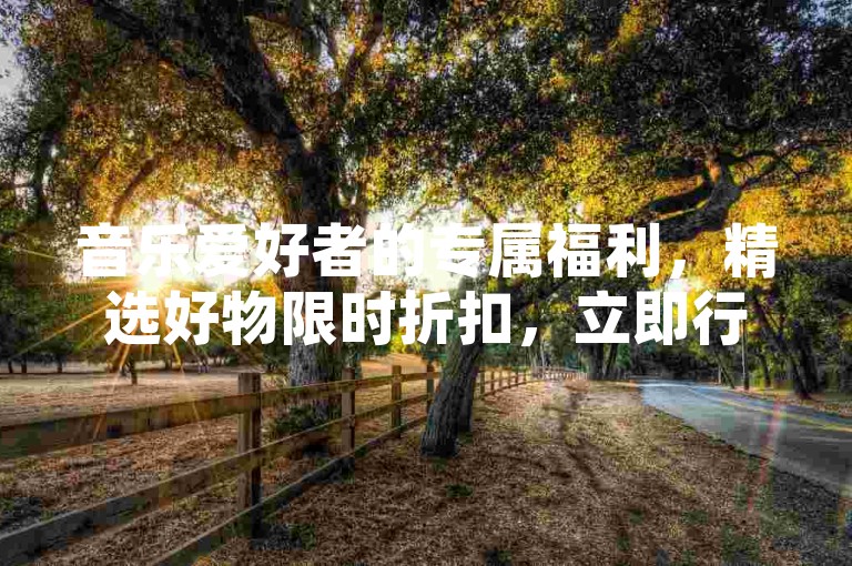 音乐爱好者的专属福利，精选好物限时折扣，立即行动！