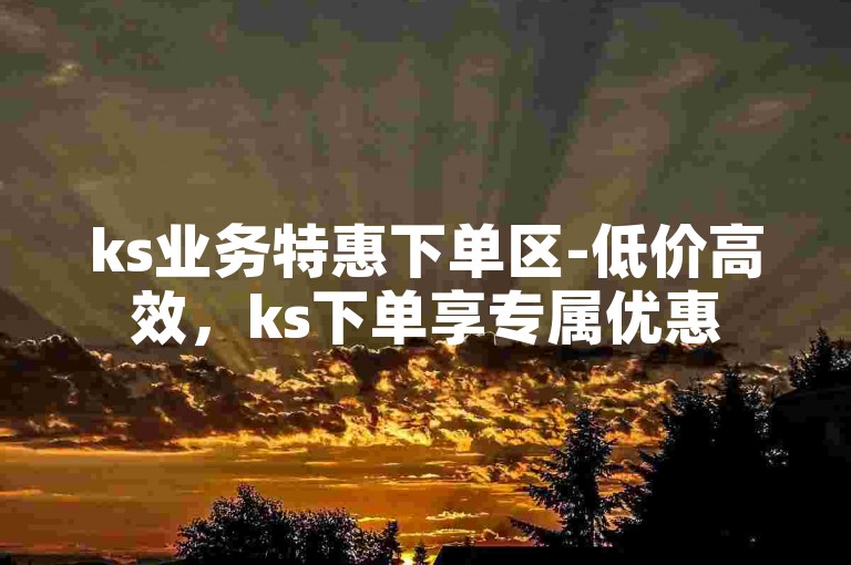 ks业务特惠下单区-低价高效，ks下单享专属优惠